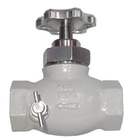 1/2" FNPT X 1/2" FNPT Threaded Globe Valve With 1/4" MNPT Plug